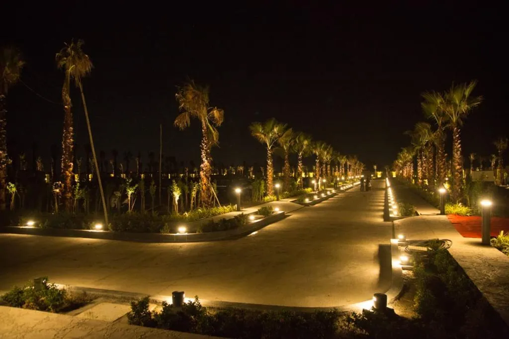 A palm-lined avenue lit at night at The Privé, Indore
