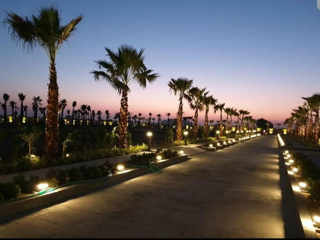 A palm-lined avenue at twilight at The Privé, Indore